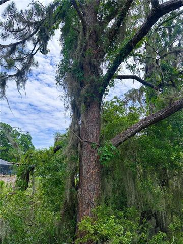 000 SE 197TH PLACE, Inglis, FL 34449