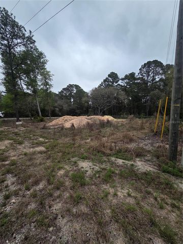 127 SEQUOIA TRAIL, Ocklawaha, FL 32179