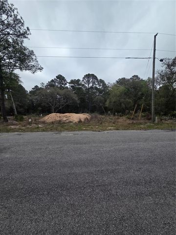 127 SEQUOIA TRAIL, Ocklawaha, FL 32179