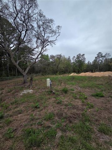 127 SEQUOIA TRAIL, Ocklawaha, FL 32179