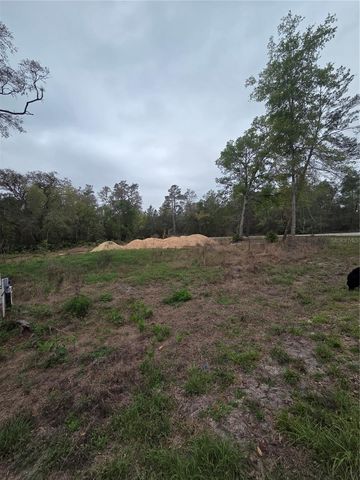 127 SEQUOIA TRAIL, Ocklawaha, FL 32179