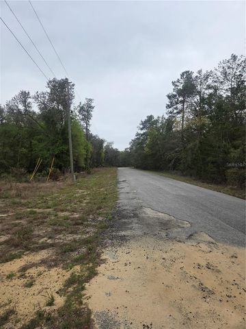 127 SEQUOIA TRAIL, Ocklawaha, FL 32179