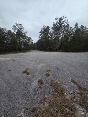 127 SEQUOIA TRAIL, Ocklawaha, FL 32179