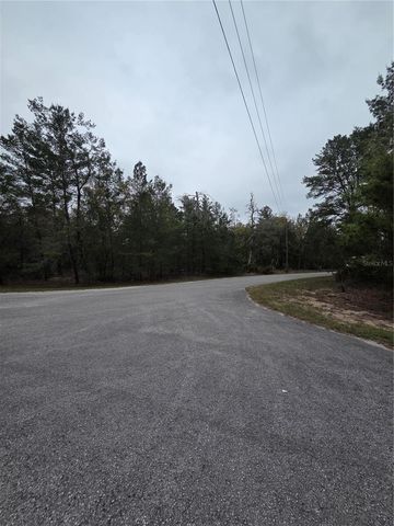 127 SEQUOIA TRAIL, Ocklawaha, FL 32179