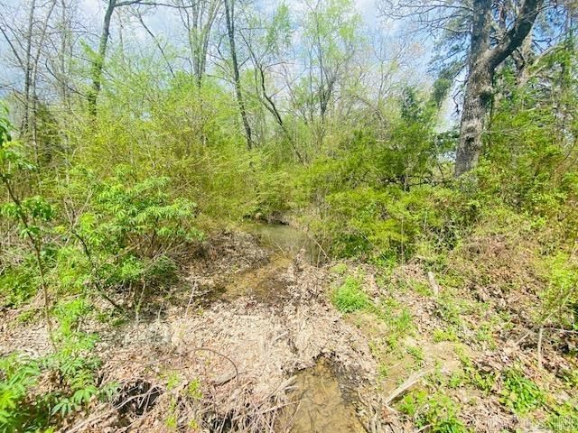 706 Old Waters Highway, Oden, AR 71961