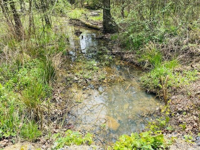 706 Old Waters Highway, Oden, AR 71961