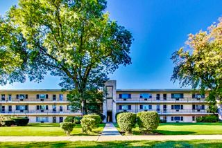501 E Prospect Avenue 1F, Mount Prospect, IL 60056