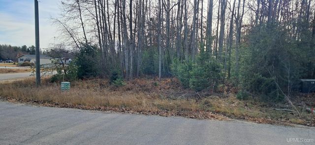 62 Wintergreen Circle, Gladstone, MI 49837