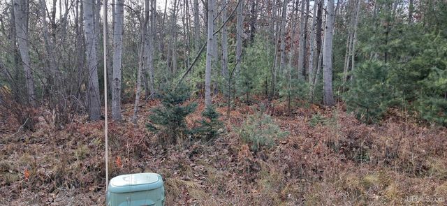 62 Wintergreen Circle, Gladstone, MI 49837