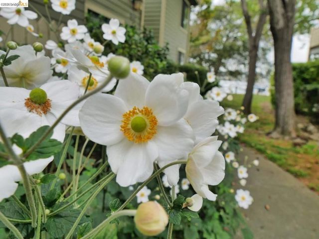 202 Shoreline CT, Richmond, CA 94804