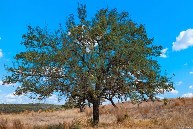 LOT 80 Firsching Rd, Kerrville, TX 78028