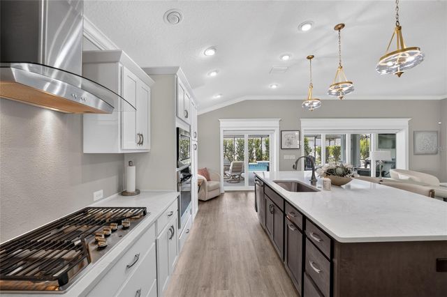 6172 DANIELSON LOOP, The Villages, FL 32163