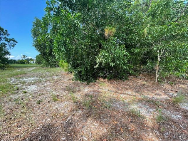 4513 NW 34th Place, Cape Coral, FL 33993