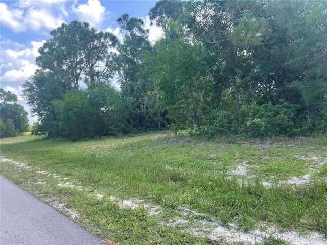4513 NW 34th Place, Cape Coral, FL 33993