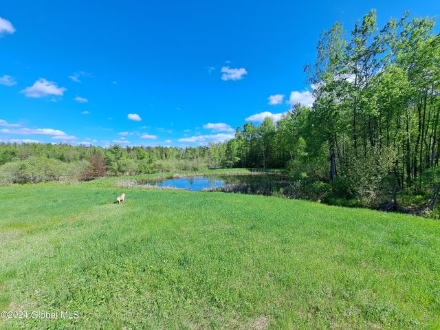 51 Barney Hill Road, Johnsburg, NY 12811