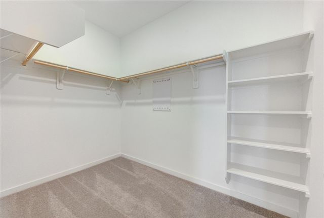 16222 Chestnut Haven Lane, Hockley, TX 77447