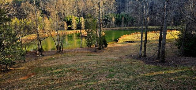 3800 Cutcane Road, Mineral Bluff, GA 30559