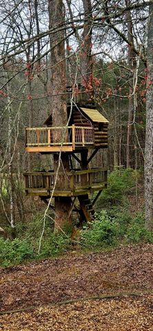 3800 Cutcane Road, Mineral Bluff, GA 30559