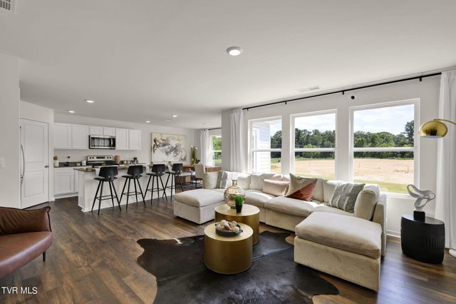 261 Chimney View Loop, Blountville, TN 37617