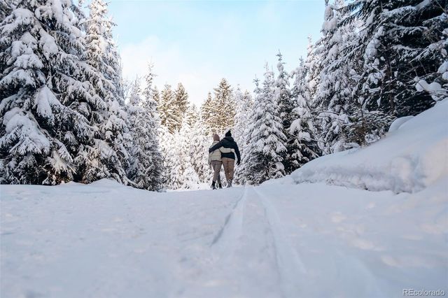 297 Robertson Lane, Breckenridge, CO 80424