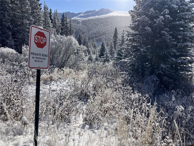 297 Robertson Lane, Breckenridge, CO 80424