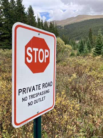 297 Robertson Lane, Breckenridge, CO 80424