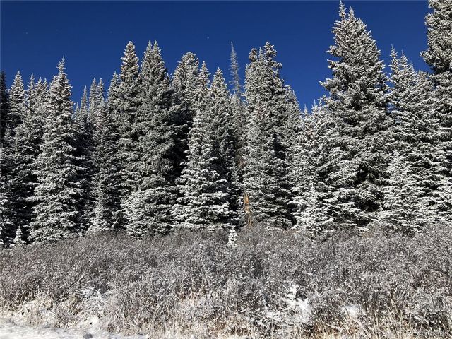 297 Robertson Lane, Breckenridge, CO 80424