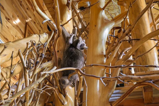 1960 E Mountain Way, Sevierville, TN 37876