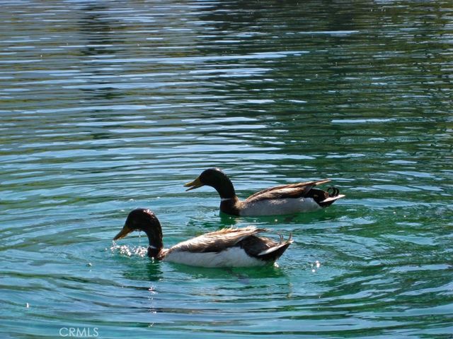 16324 Grizzly, Pine Mountain Club, CA 93222