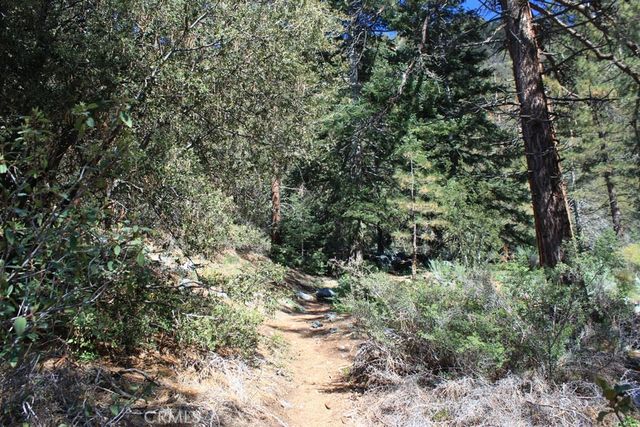 16324 Grizzly, Pine Mountain Club, CA 93222