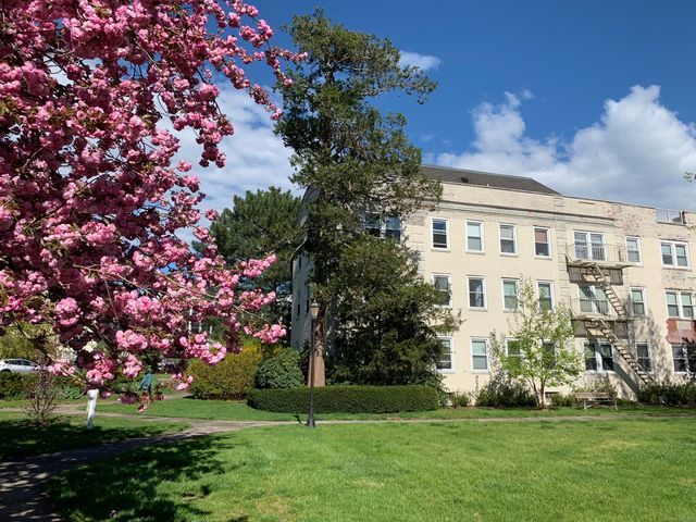 102 Summer Street 2A, Stamford, CT 06840