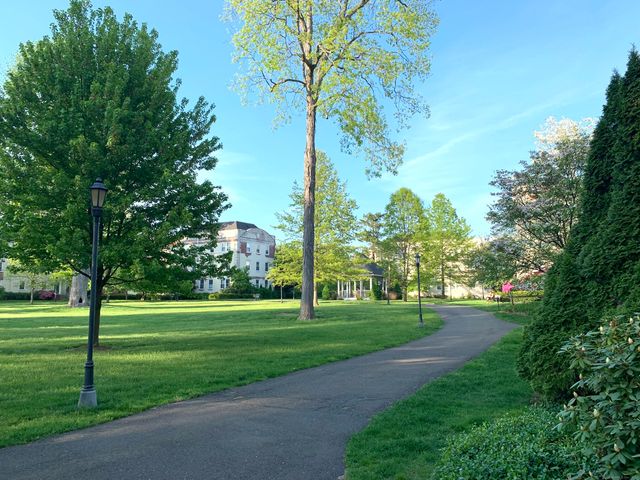 102 Summer Street 2A, Stamford, CT 06840