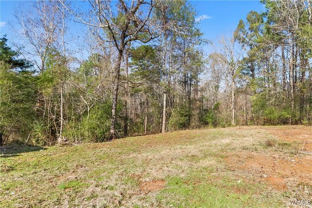 7801 Hargrove E, Cottondale, AL 35453