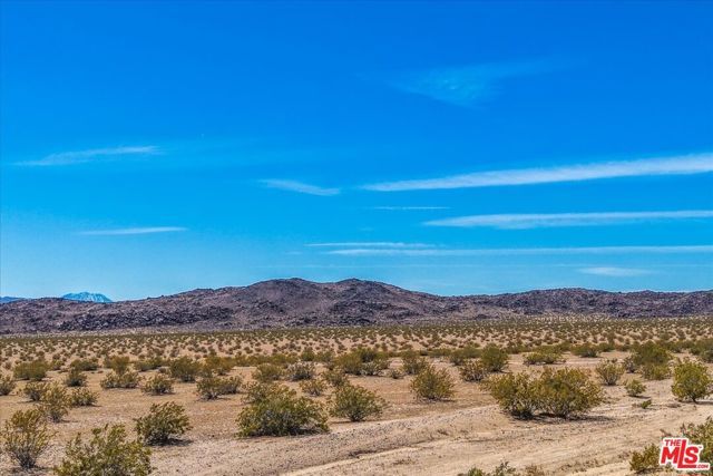 1 Mile Square Road, Joshua Tree, CA 92252