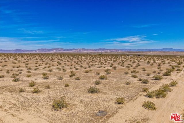 1 Mile Square Road, Joshua Tree, CA 92252