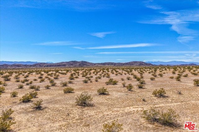 1 Mile Square Road, Joshua Tree, CA 92252