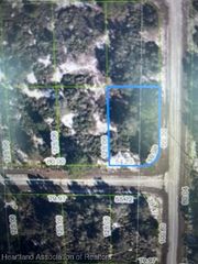 101 Hansen Avenue, Lake Placid, FL 33852