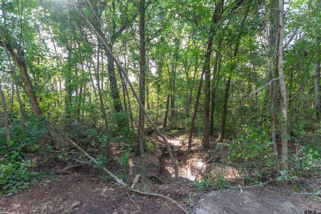 TBD CR 1237, Tyler, TX 75703