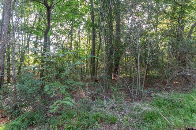 TBD CR 1237, Tyler, TX 75703