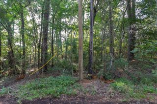 TBD CR 1237, Tyler, TX 75703