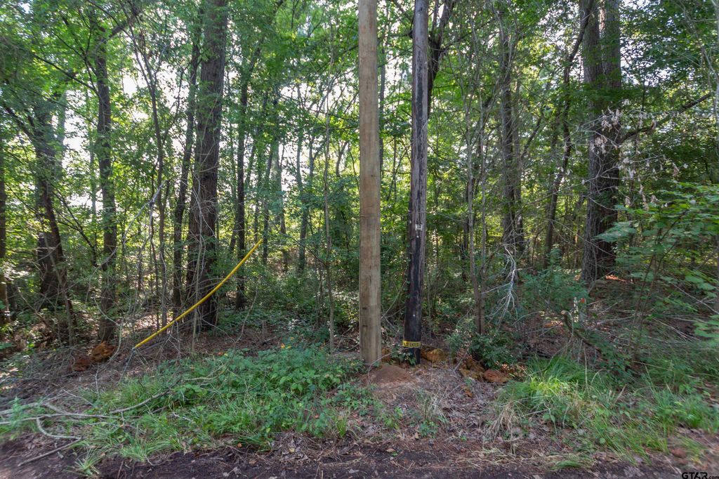 TBD CR 1237, Tyler, TX 75703