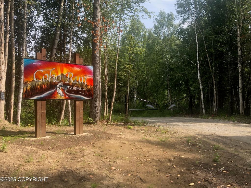 15714 E Angler Drive, Willow, AK 99688