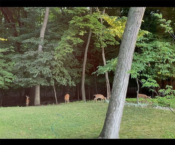 49 Wincanton Drive, Perinton, NY 14450