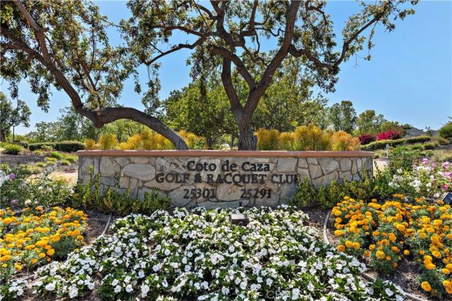 31551 VIA COYOTE, Coto De Caza, CA 92679