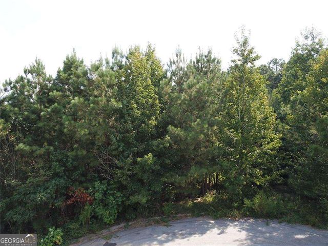 7722 Austin Court, Winston, GA 30187