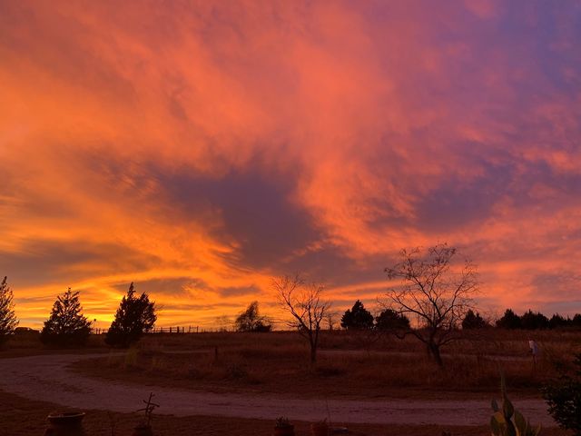 831 Cullins Road, Rockwall, TX 75032