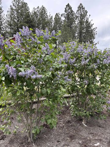 1424 N Idaho Rd, Liberty Lake, WA 99019