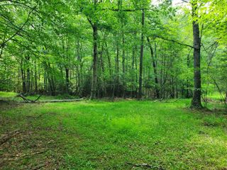 10334 Mill Creek RD, Bent Mountain, VA 24059
