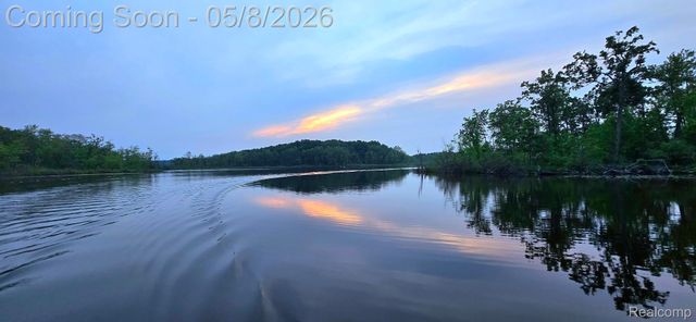 175 Templar Avenue, Unadilla Township, MI 48169