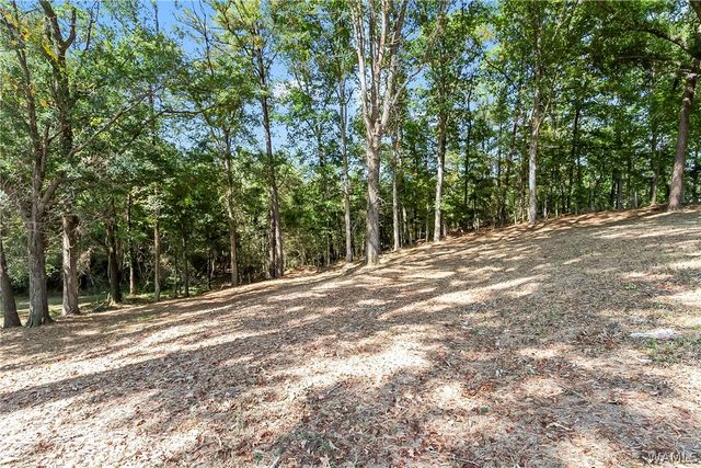 11297 Ash, Northport, AL 35475